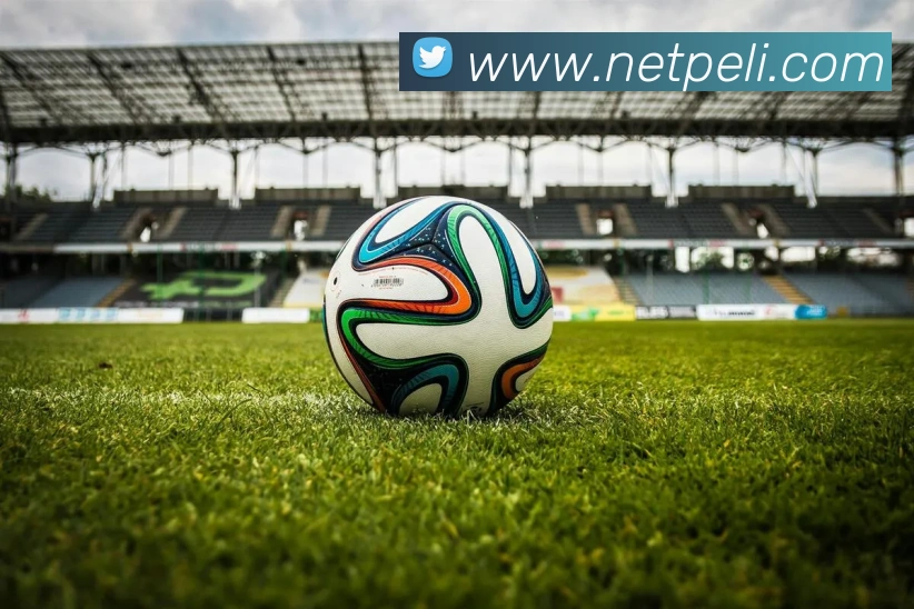 奖项图3